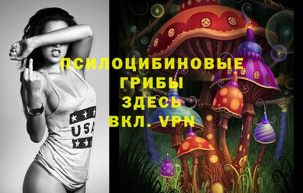 spice Пересвет
