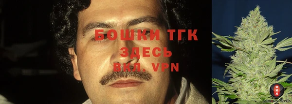 амф Грязовец