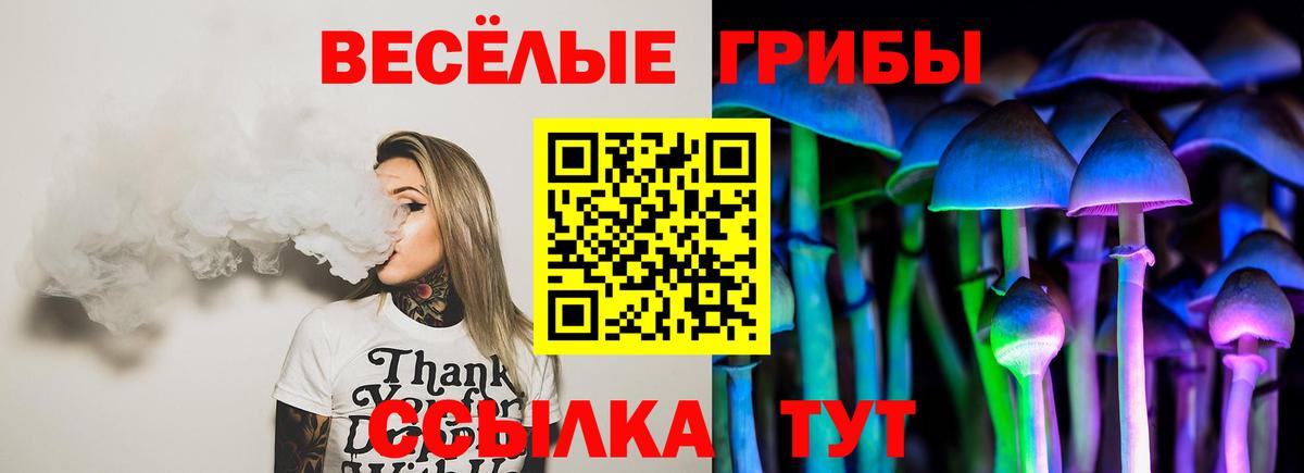 Галлюциногенные грибы GOLDEN TEACHER  Вход с VPN  закладка  Ярцево  Псилоцибиновые грибы мицелий 